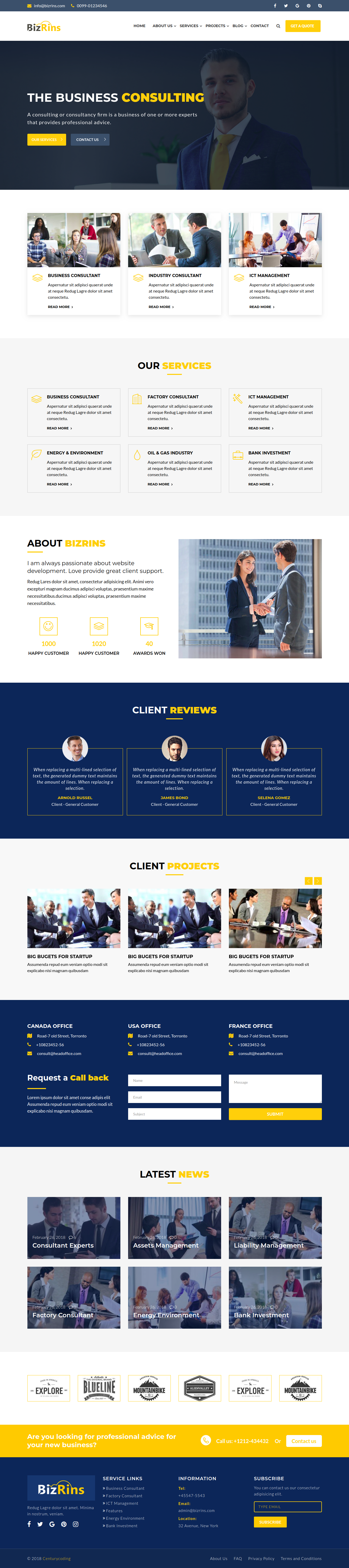 Bizrins - Beratung Business WordPress Theme