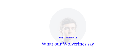 Lobo - WordPress Portfolio für Freiberufler & Agenturen - 10