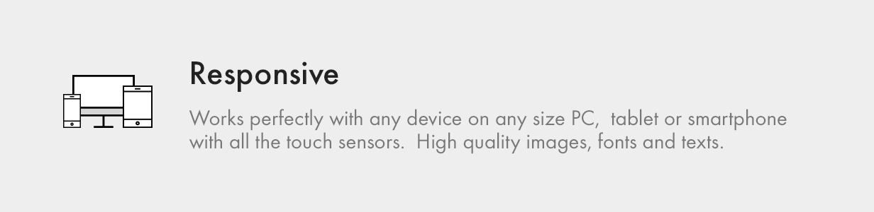 Responsive Website