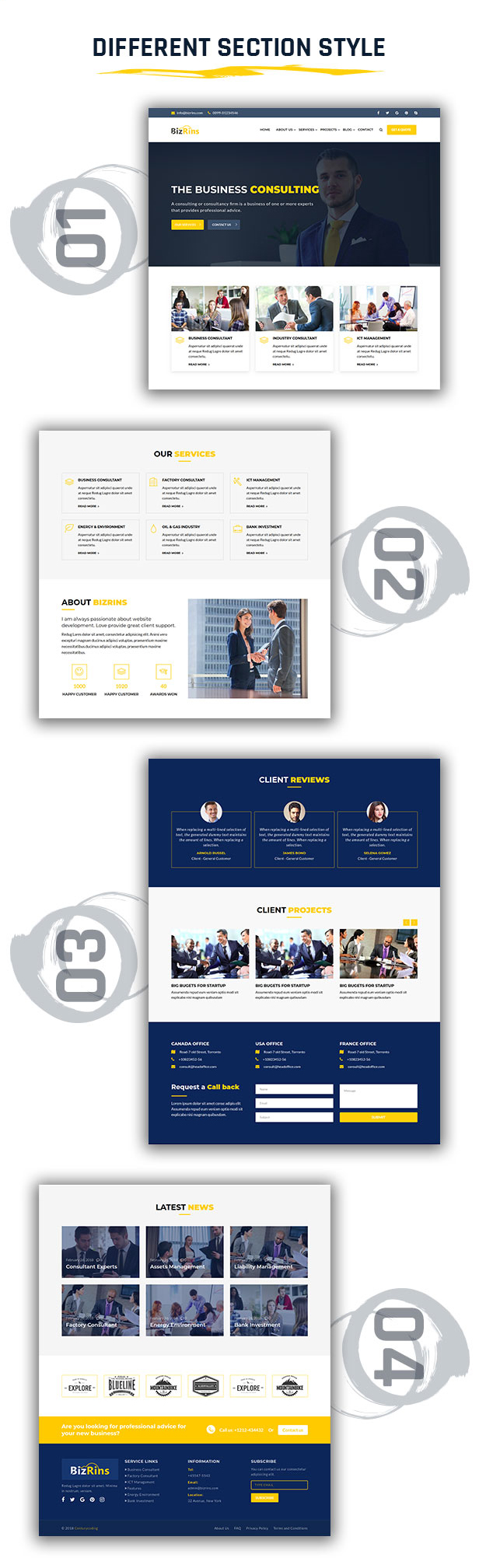 Bizrins - Beratung Business WordPress Theme