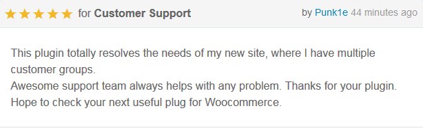 Sichtbarkeit von WooCommerce-Produkten | Produkte, Kategorien, Tags, Taxonomien und Preise nach Benutzerrolle ausblenden - 16