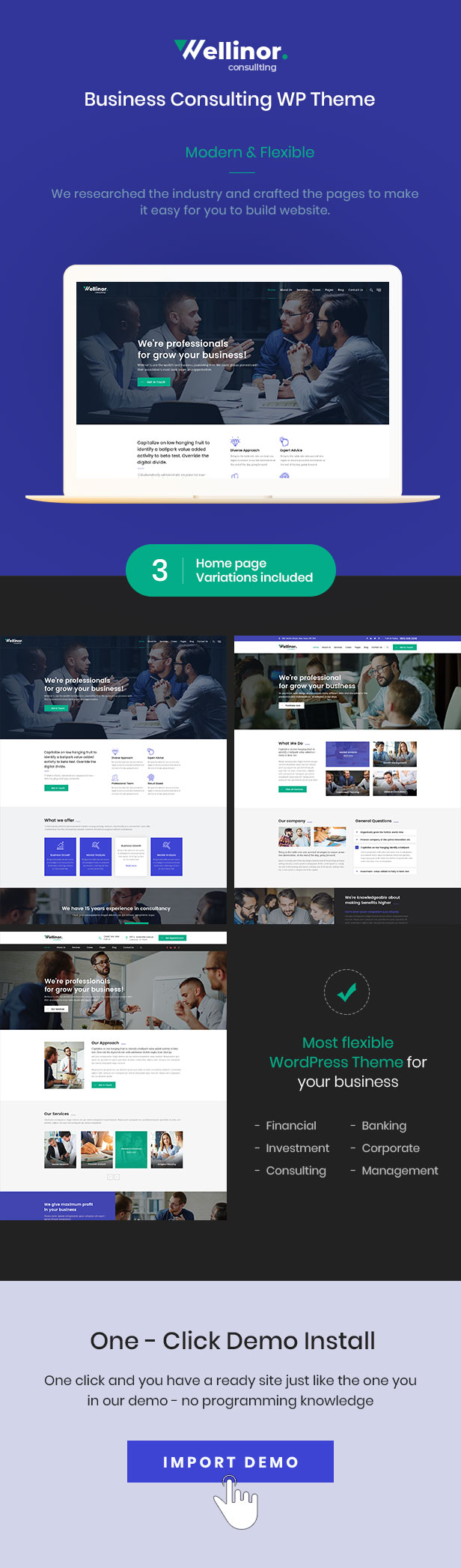 Wellinor - Unternehmensberatung WordPress Theme - 1