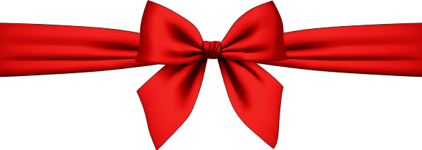 WPBE - WordPress Beiträge Bulk Editor Professional als Geschenk