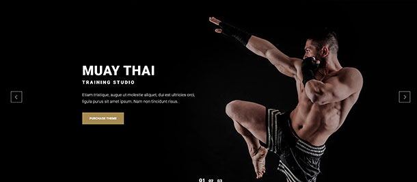 Absolute Fitness - Fitness Mehrzweck WordPress Theme - 2