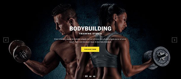 Absolute Fitness - Fitness Mehrzweck-WordPress-Theme - 8