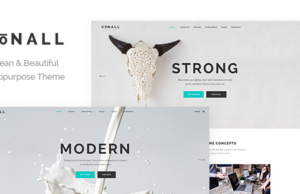 Conall – Clean Multipurpose Vorlage