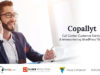 Copallyt: Call Center- und Telemarketing-WordPress-Layout