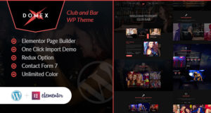 Domex – Nachtclub WordPress Layout