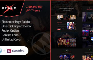 Domex – Nachtclub WordPress Layout