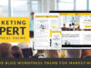 Experte - Blog WordPress Vorlage für Vermarkter