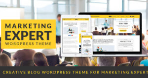 Experte – Blog WordPress Vorlage für Vermarkter