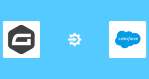 Schwerkraft bildet Salesforce Premium Plugin