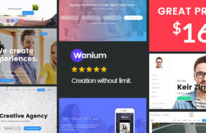 Wanium – Ein elegantes Multi-Concept-Thema