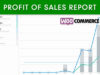 WooCommerce Umsatzgewinnbericht