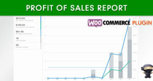 WooCommerce Umsatzgewinnbericht
