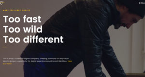 Wrap – Mehrzweck-WordPress-Template