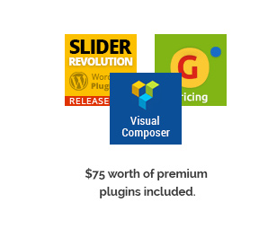 Premium-Plugins im Wert von 75 US-Dollar enthalten.