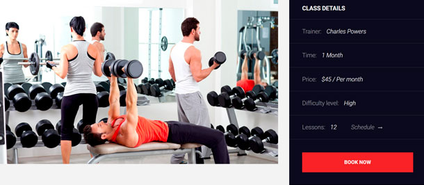 Absolute Fitness - Fitness Mehrzweck-WordPress-Theme - 14