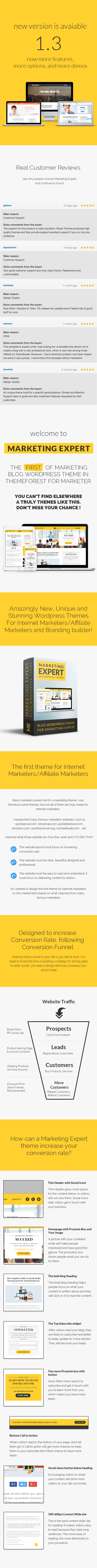 Experten - Blog WordPress Theme für Marketer - 1