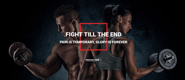 Absolute Fitness - Fitness Mehrzweck-WordPress-Theme - 1