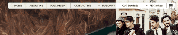 Moon - Fotografie Portfolio Theme für WordPress - 3