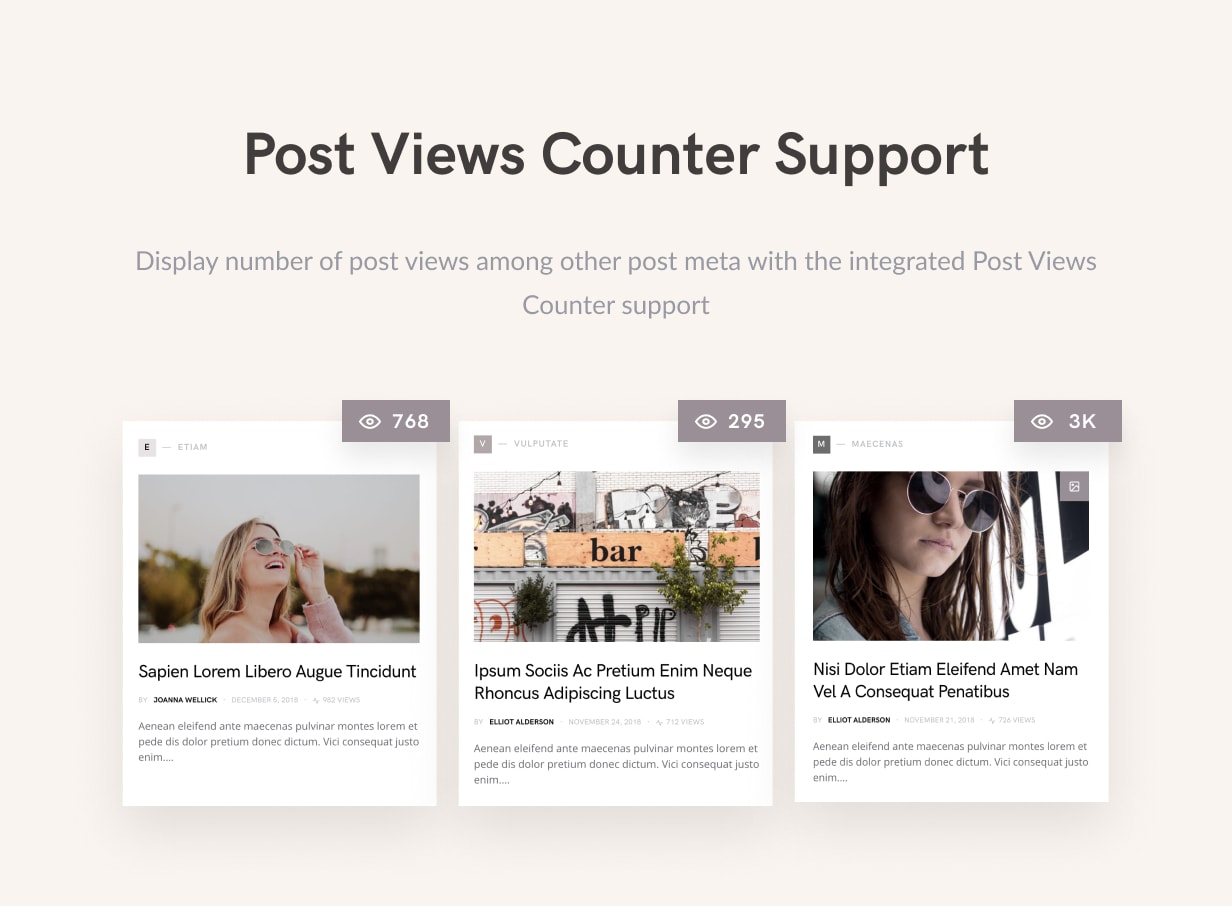 Squaretype - Modernes Blog WordPress Theme - 11