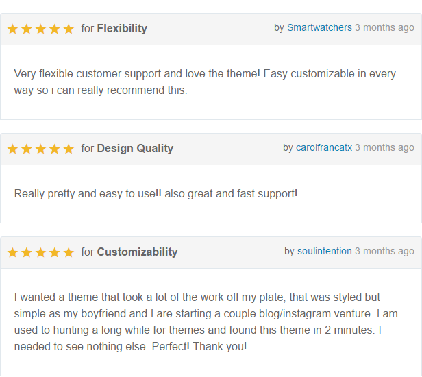 Aden - Ein WordPress Blog Theme - 5
