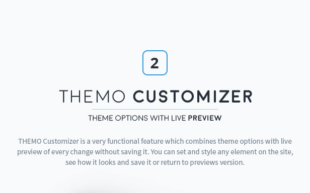 themo customizer