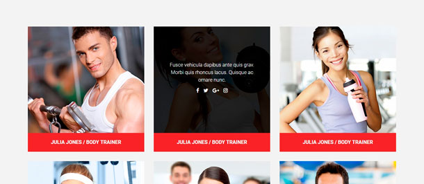 Absolute Fitness - Fitness Mehrzweck-WordPress-Theme - 18