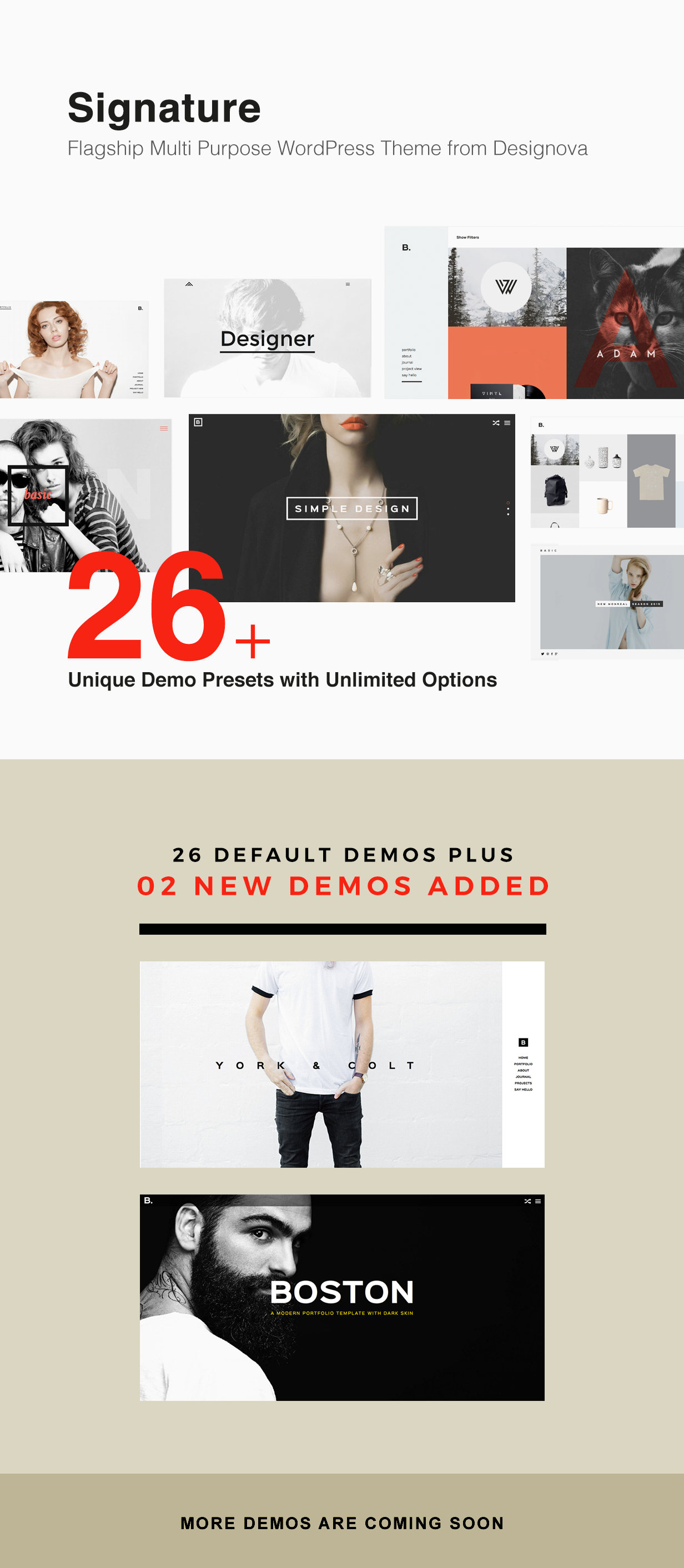 Signatur - Mehrzweck / Viele Konzepte Kreatives Portfolio WordPress Theme - 5