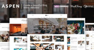 Aspen – WordPress Blog Layout