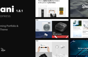 Dani – Ein stürmisches Portfolio & Shop WordPress Template