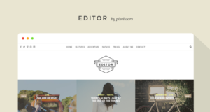 Editor – Ein WordPress-Vorlage für Blogger