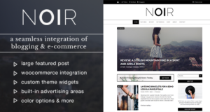 Noir – Blog & Shop WordPress Template