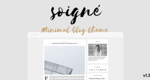Soigne – Ein ansprechendes minimales WordPress-Blog-Thema