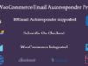 WooCommerce E-Mail Autoresponder Pro