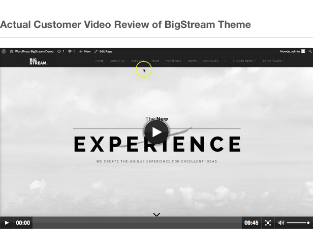 BigStream - Mehrzweck-WordPress-Theme mit mehreren / einer Seite - 22
