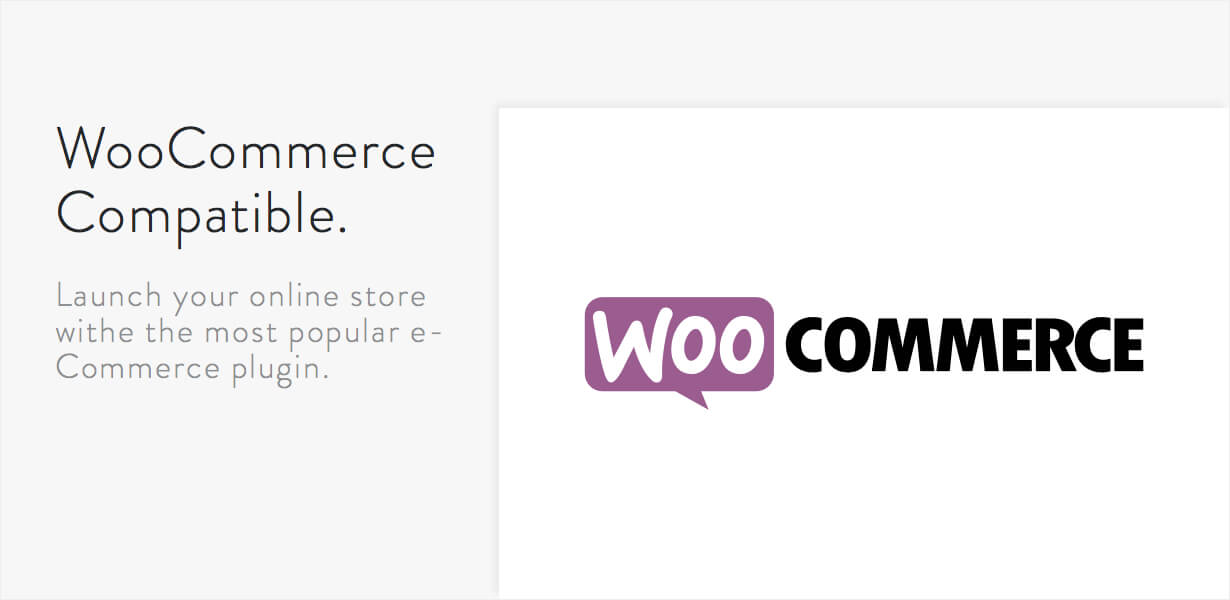 Comet - Kreatives Mehrzweck-WordPress-Theme - 10