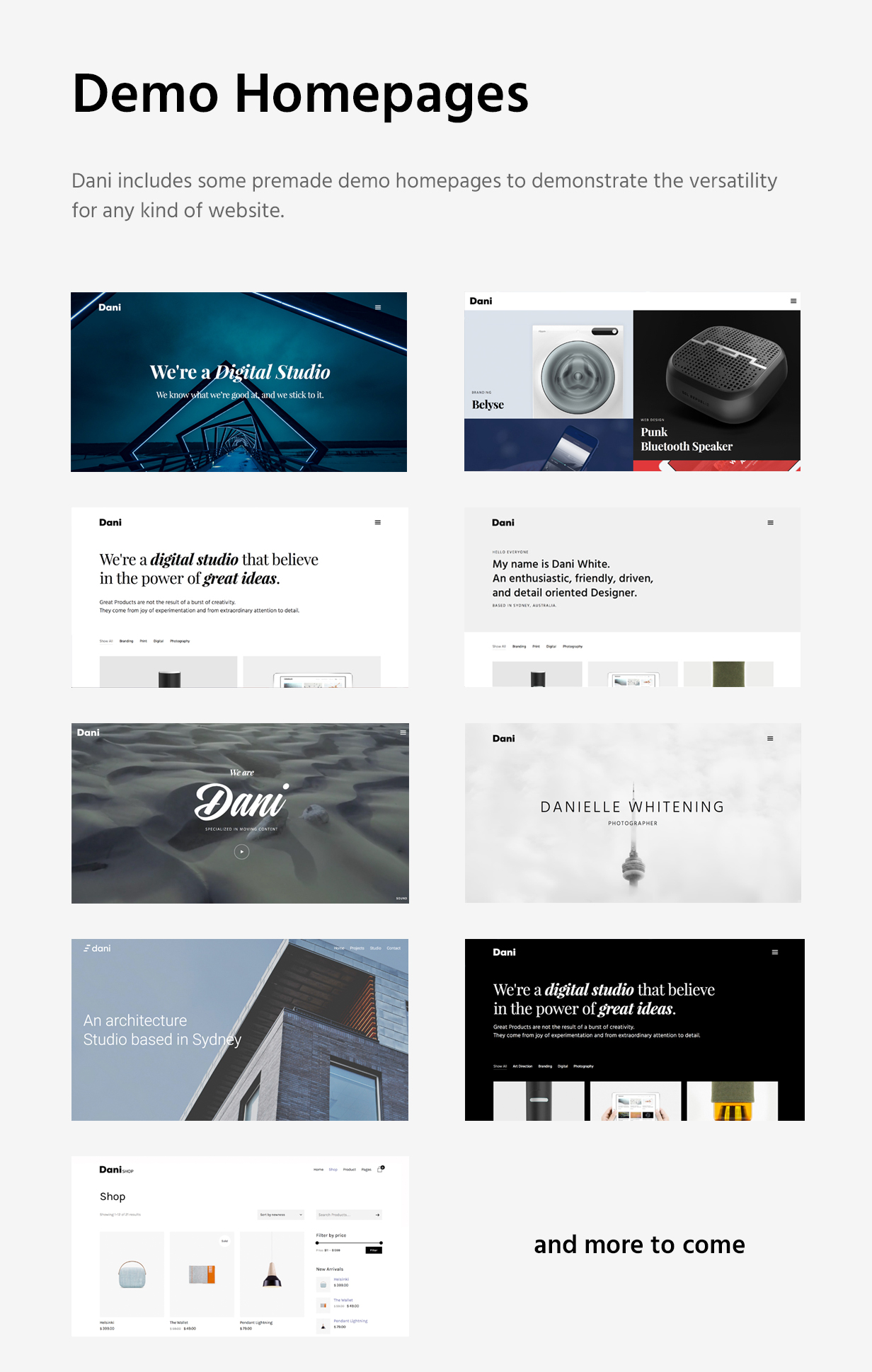 Dani - Ein stürmisches Portfolio & Shop WordPress Theme - 9