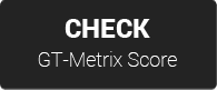 Gt Metrix