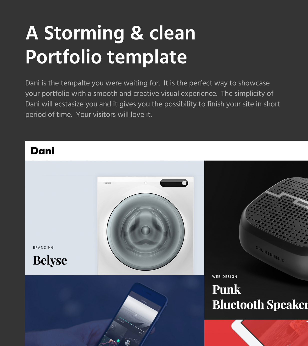 Dani - Ein stürmisches Portfolio & Shop WordPress Theme - 4