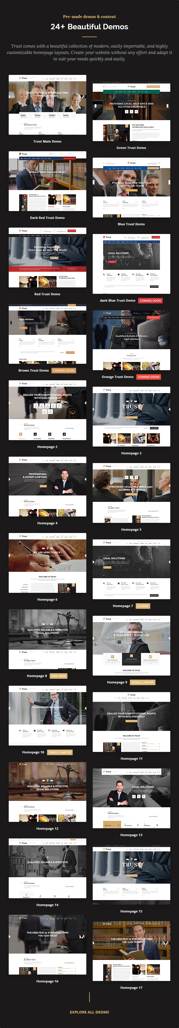 Trust Business - WordPress-Theme für Anwälte und Rechtsanwälte - 5