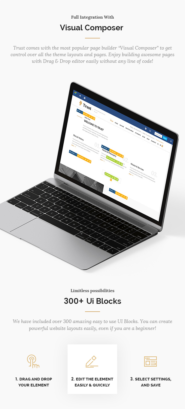 Trust Business - Anwalt und Anwalt WordPress Theme - 7
