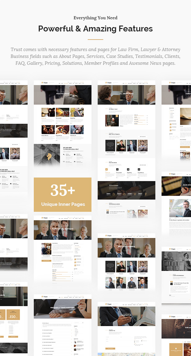 Trust Business - Anwalt und Anwalt WordPress Theme - 10