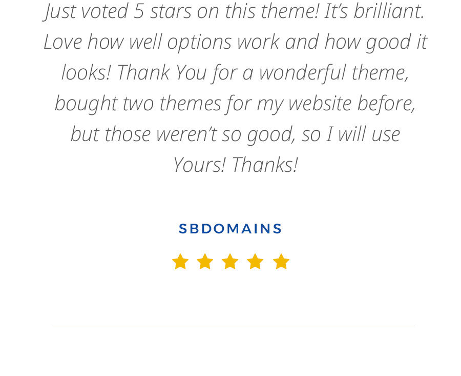 Avantgarde: Business & Portfolio WordPress Theme - 18