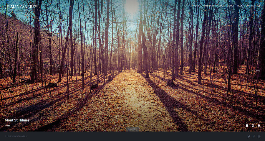 Fotografie Portfolio WordPress Theme - JohnBlack - 4