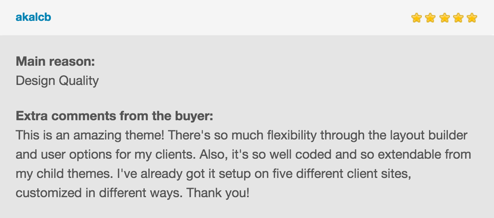 Denali - Responsive Mehrzweck-WordPress-Theme - 16