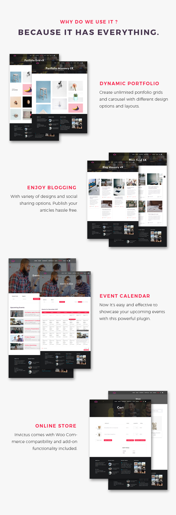 Invictus - Kreatives Mehrzweck-WordPress-Theme - 9