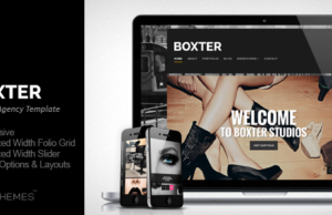Boxter – Kreatives Responsive WordPress-Vorlage