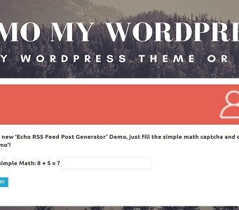 Demo My WordPress – Temporärer WordPress Install Creator